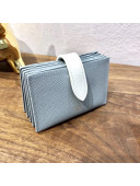 Celine Accordeon Card Holder in Grained Calfskin Light Grey/White 2020