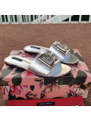 Dolce & Gabbana DG Metallic Leather Flat Slide Sandals Silver 2021