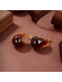 Bottega Veneta Earrings BVE2212113 Brown 2022