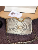 Chanel Snakeskin Small Flap Bag AS1160 Gray 2022