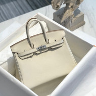 Hermes Birkin 25cm Bag in Togo Calfskin White/Silver 2022