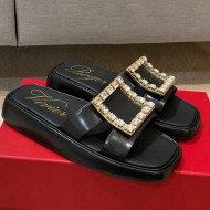 Roger Vivier Leather Flat Vivier Slide Sandals Black 2021