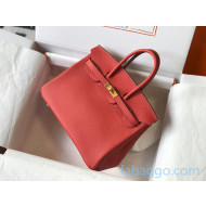 Hermes Birkin Bag 25cm in Epsom Calfskin Red/Gold (Half Handmade) 2021