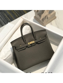 Hermes Birkin 25cm Bag in Togo Calfskin Tinware Grey/Gold 2022