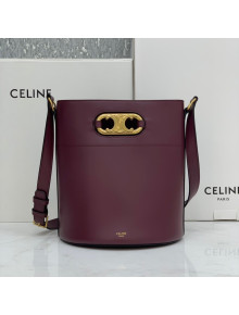 Celine Bucket Maillon Triomphe Bag in Shiny Calfskin Burgundy 2021