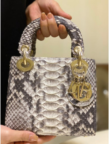 Dior Mini Lady Dior Bag in Python Leather Grey 2021