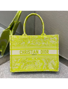 Dior Small Book Tote Bag in Lime Green Toile de Jouy Reverse Embroidery 2021