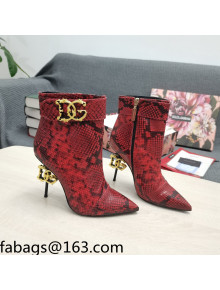 Dolce & Gabbana DG Snakeskin Print Leather Ankle Short Boots 10.5cm Red 2021 