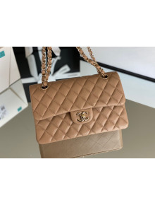 Chanel Haas Grained Calfskin Small Classic Flap Bag A01113 Apricot/Light Gold 2021(Original Quality)