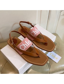 Chloe Logo Canvas Thong Flat Sandals Pink 2021