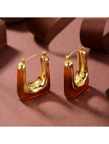 Celine Resin Earrings Brown 2021 06