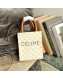 Celine Mini Vertical Cabas Tote Bag in Triomphe Canvas White/Tan Brown/ 2021 03