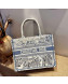 Dior Medium Book Tote Bag in Blue Gradient Toile de Jouy Embroidery 2021 120141