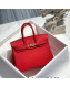 Hermes Birkin 25cm Bag in Togo Calfskin Red/Gold 2022