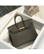 Hermes Birkin 25cm Bag in Togo Calfskin Tinware Grey/Gold 2022