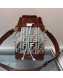 Fendi Transparent Mon Tresor Bucket Bag Brown/White 2019