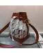 Fendi Transparent Mon Tresor Bucket Bag Brown/White 2019