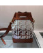 Fendi Transparent Mon Tresor Bucket Bag Brown/White 2019