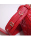 Dior Lady Dior Bag 20cm in Cannage Lambskin Red 2019