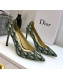 Dior J'adior D-Moi Point Heel 95mm Pump in Green Oblique Canvas 2019