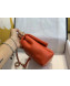 Chanel Quilted Lambskin Large Flap Bag with Resin Chain AS1354 Orange 2019