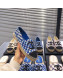 Chanel CC Weave Geometric Espadrilles Blue/White/Black 2019