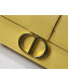 Dior 30 Montaigne CD Flap Bag in Smooth Yellow Calfskin 2019