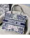 Dior Medium Book Tote Bag in Blue Around World Embroidery 2021