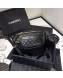 Chanel Quilted Aged Calfskin Waist Bag/Belt Bag and Coin Purse AS1077 Black 2019