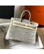 Hermes Birkin 25cm Bag in Lizard Embossed Calf Leather Grey/White/Silver 2022