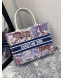 Dior Book Tote Small Bag in Toile de Jouy Pinted Calfskin and Studs 2019