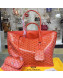 Goyard Reversible Calfskin Medium/Large Shopping Tote Orange