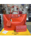 Goyard Reversible Calfskin Medium/Large Shopping Tote Orange