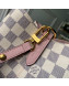 Louis Vuitton Noe Bucket Bag in Damier Azur Canvas N40152 Pink 2019