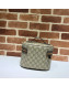 Gucci Ophidia GG Cosmetic Case 611001 Beige 2020