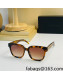 Saint Laurent YSL Sunglasses SML40 2022 032956